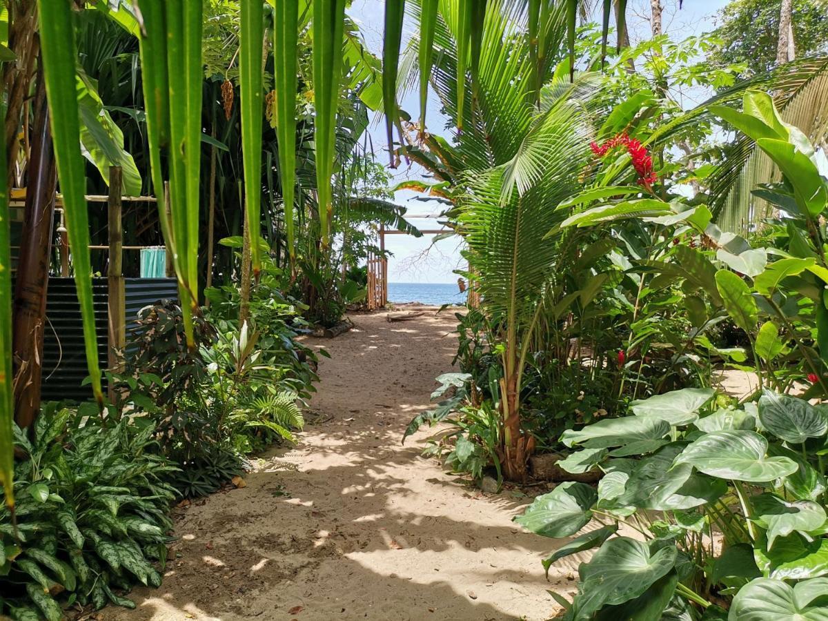 Oasis Beachfront Hostel Puerto Limon Dış mekan fotoğraf