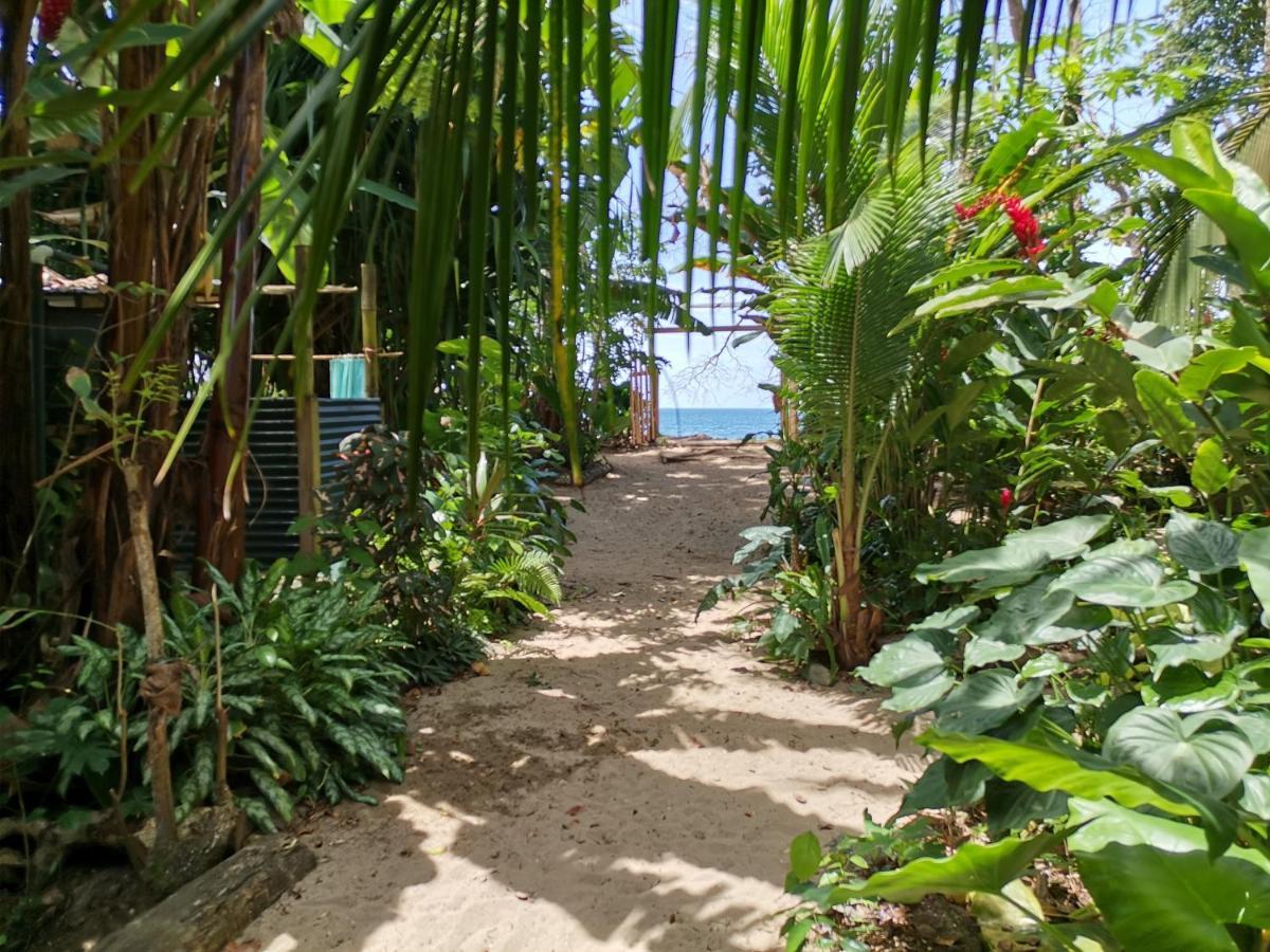 Oasis Beachfront Hostel Puerto Limon Dış mekan fotoğraf