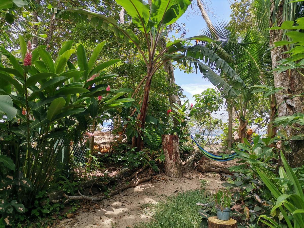 Oasis Beachfront Hostel Puerto Limon Dış mekan fotoğraf